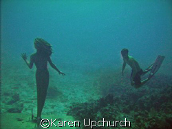 while diving sunset house reef a free diver came down to ... by Karen Upchurch 